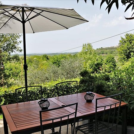 Apartment Tina Istra Buje Zewnętrze zdjęcie