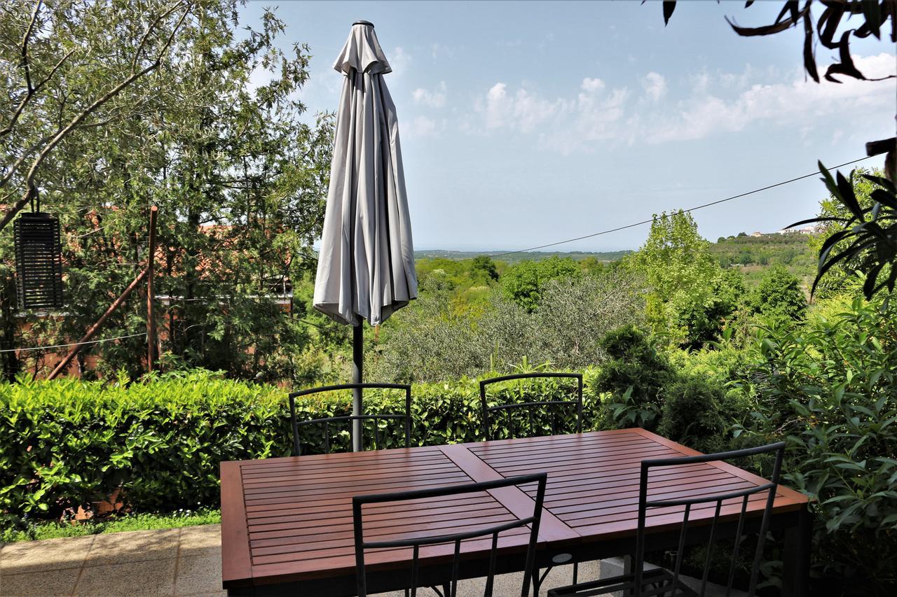 Apartment Tina Istra Buje Zewnętrze zdjęcie