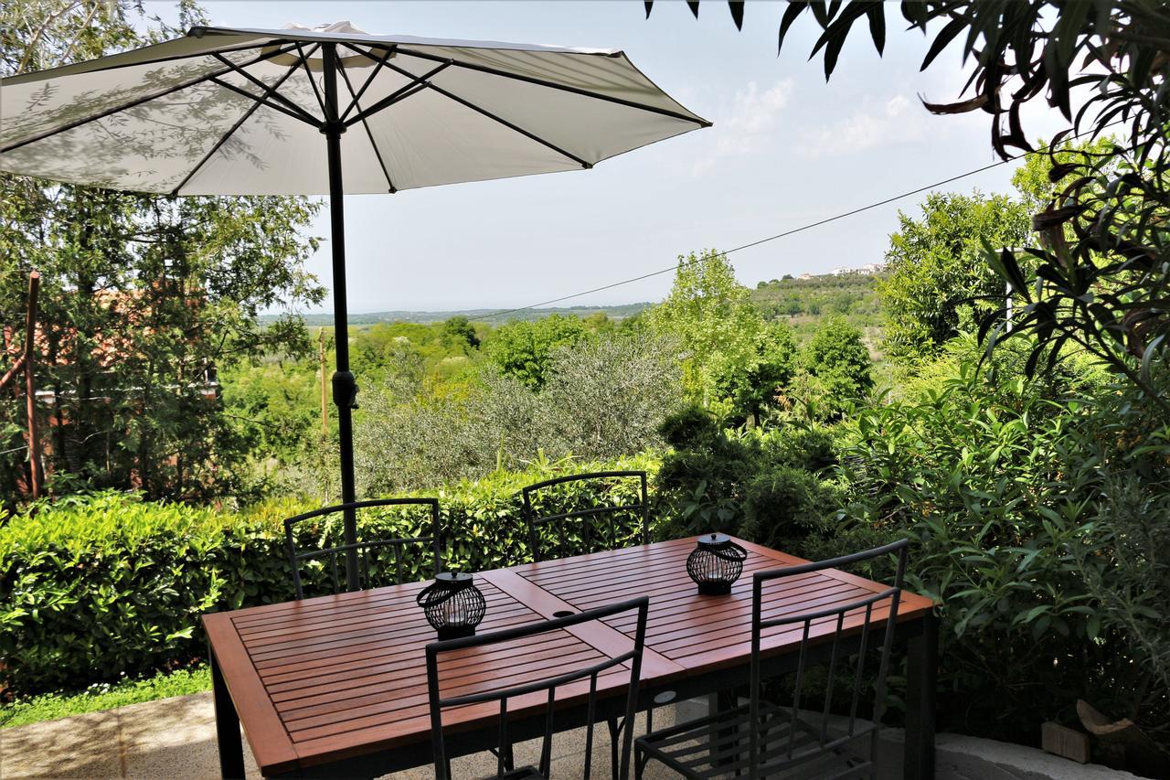 Apartment Tina Istra Buje Zewnętrze zdjęcie